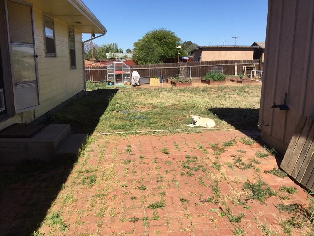 Affordable garden landscaping experts serving Ramona, CA - Scotty's Plantscapes