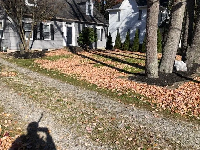 Affordable garden landscaping experts serving Canfield, OH - Scotty’s Pro Cut