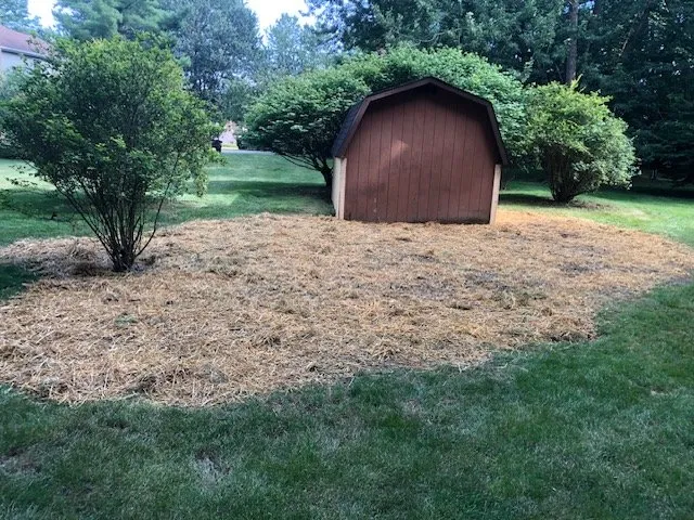 Custom yard cleanup service experts serving Canfield, OH - Scotty’s Pro Cut