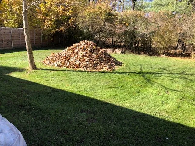 Professional landscape installation experts serving Canfield, OH - Scotty’s Pro Cut