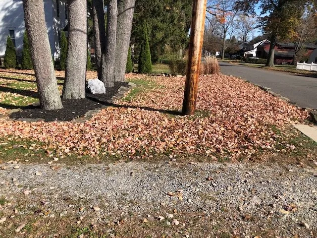 Custom lawn mowing service in Canfield, OH - Scotty’s Pro Cut