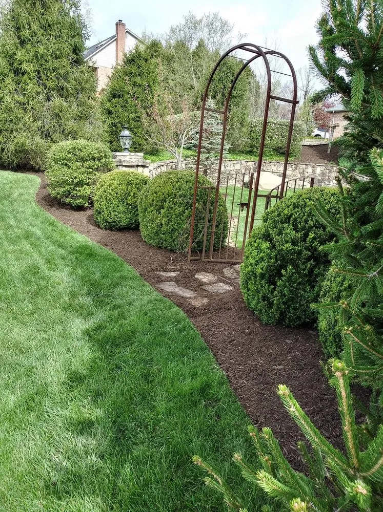 Reliable yard cleanup service for homes across Charleston, WV - ScottyScapes