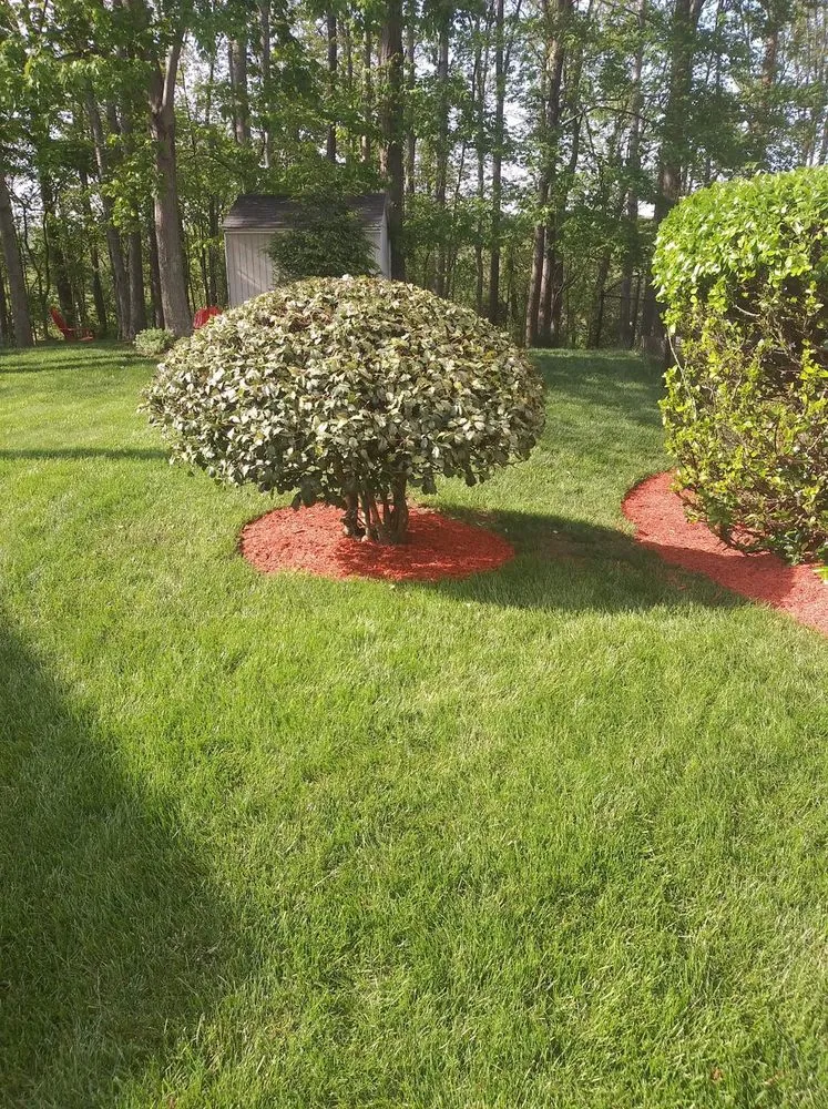 Top-rated outdoor landscaping for homes in Charleston, WV by ScottyScapes