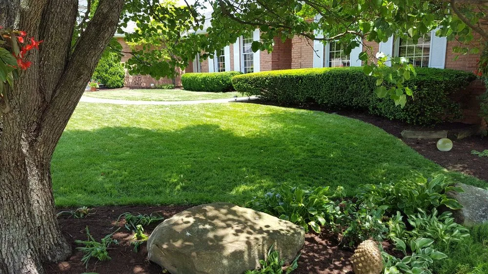 Local yard maintenance experts serving Charleston, WV - ScottyScapes