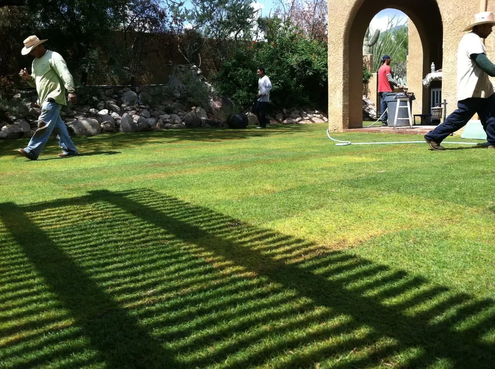 Professional outdoor landscaping experts serving Tucson, AZ - Scrapers Landscaping