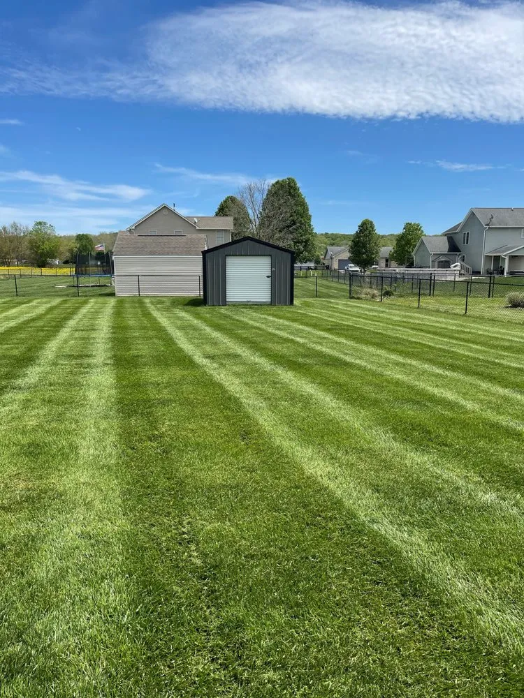 Affordable landscaping services for residential properties across Indianapolis, IN - Screaming Green Tree & Turf