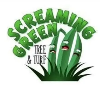 Professional lawn mowing service near you in Indianapolis, IN by Screaming Green Tree & Turf