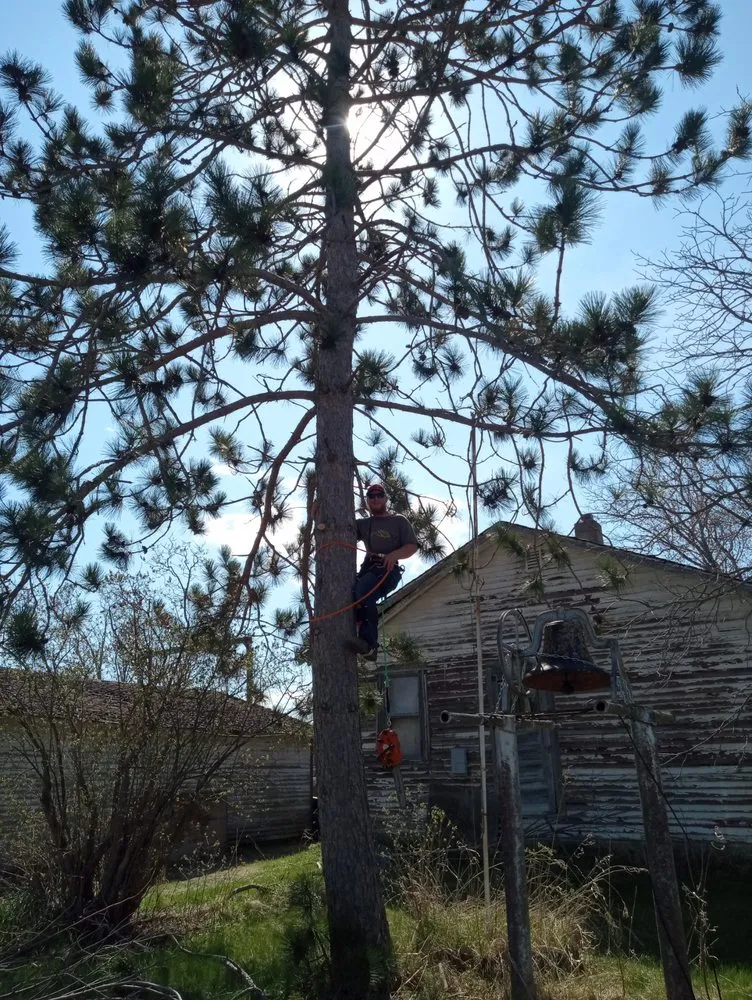 Custom landscape design for residential properties in Staples, MN by Scribner Tree & Lawn Service
