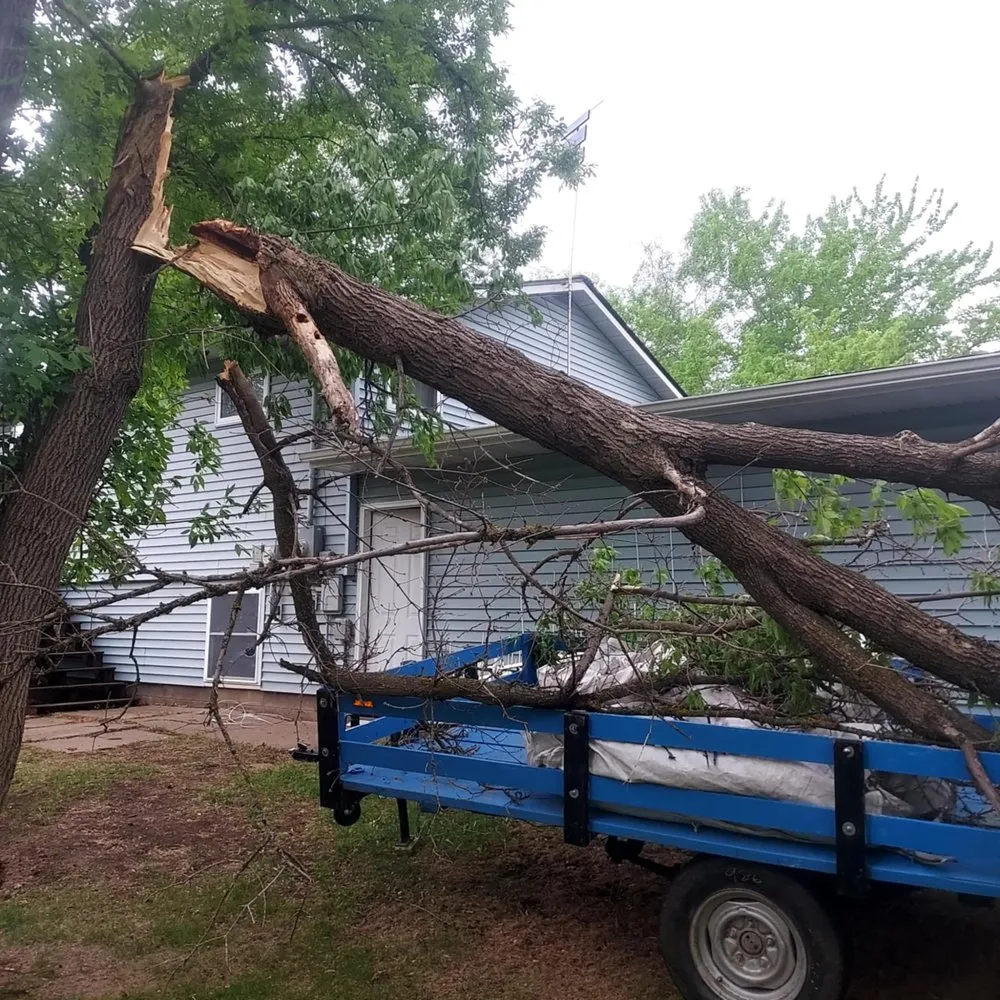 Expert landscaping services experts serving Staples, MN - Scribner Tree & Lawn Service