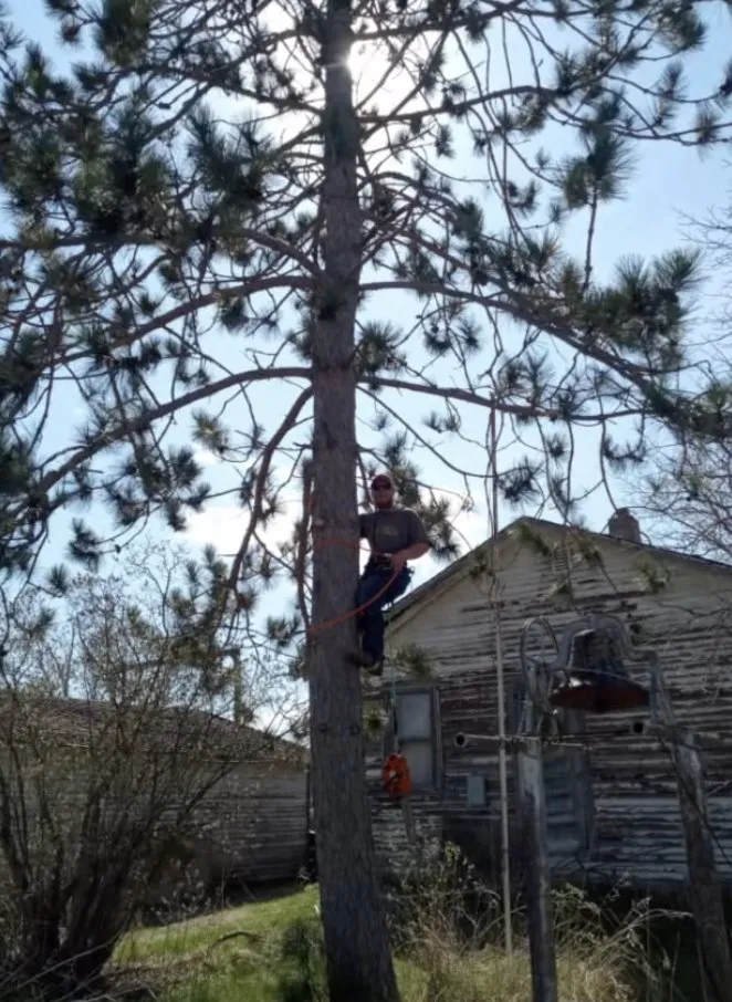 Top-rated lawn mowing service in Staples, MN - Scribner Tree & Lawn Service