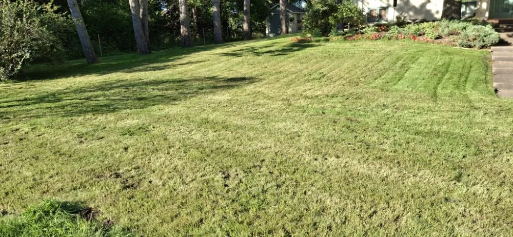 Reliable outdoor landscaping experts serving Staples, MN - Scribner Tree & Lawn Service