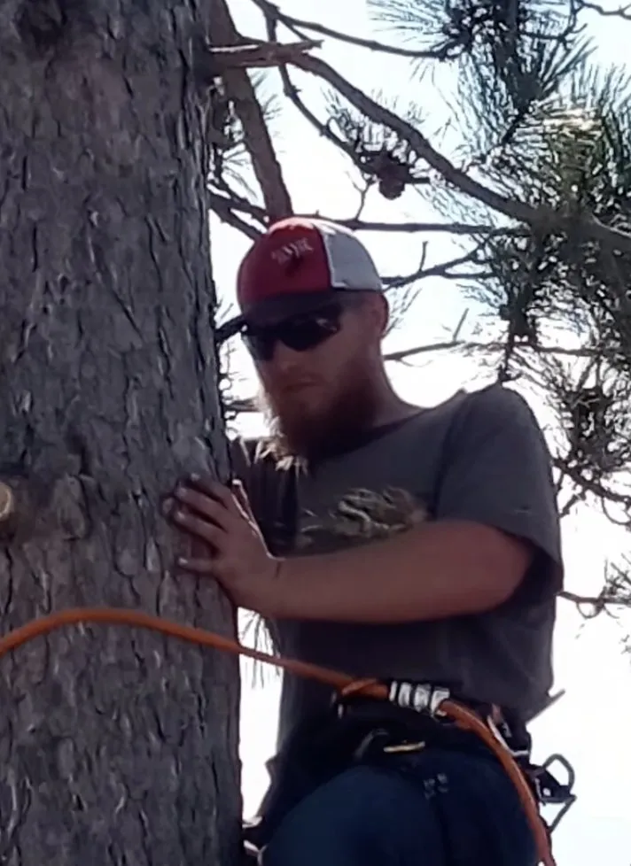 Professional landscaping services experts serving Staples, MN - Scribner Tree & Lawn Service