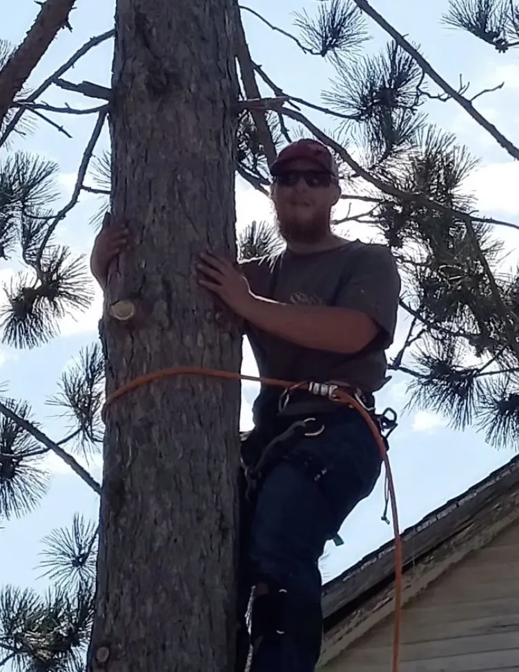 Custom residential landscaping in Staples, MN by Scribner Tree & Lawn Service