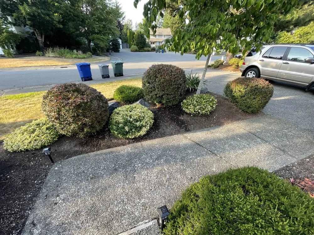 Local residential landscaping for residential properties in Renton, WA by Scrub Solutions