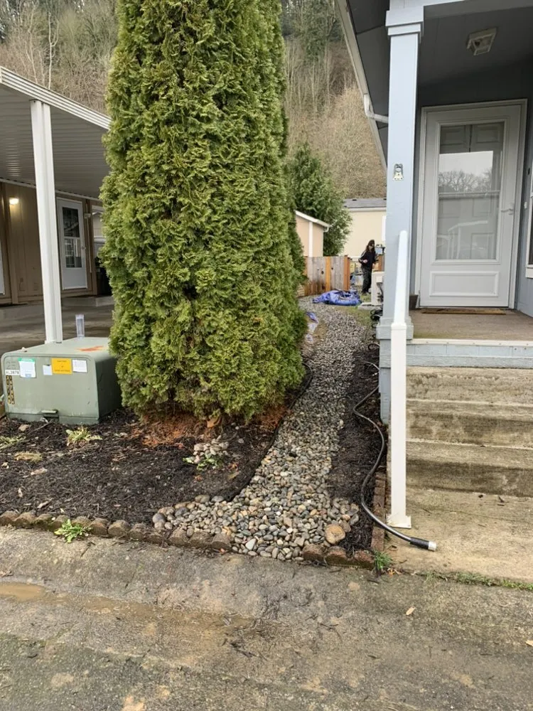 Top-rated lawn mowing service experts serving Renton, WA - Scrub Solutions