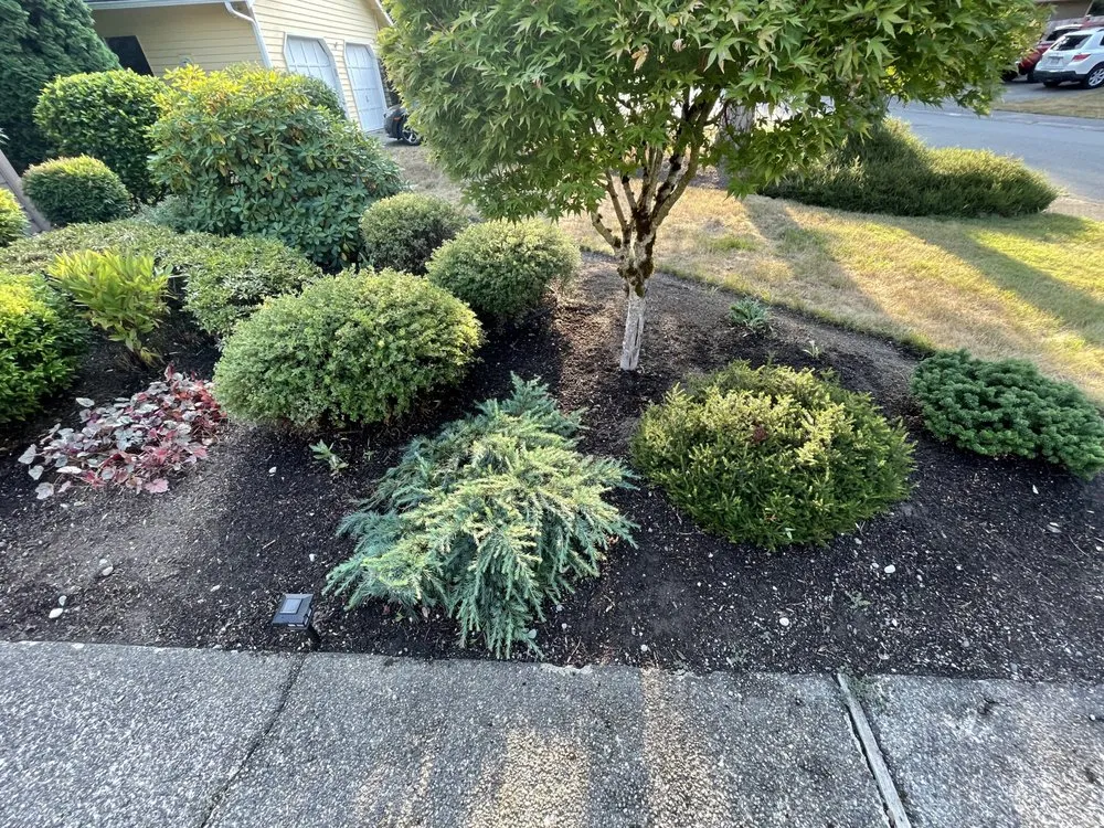 Expert landscape design in Renton, WA by Scrub Solutions