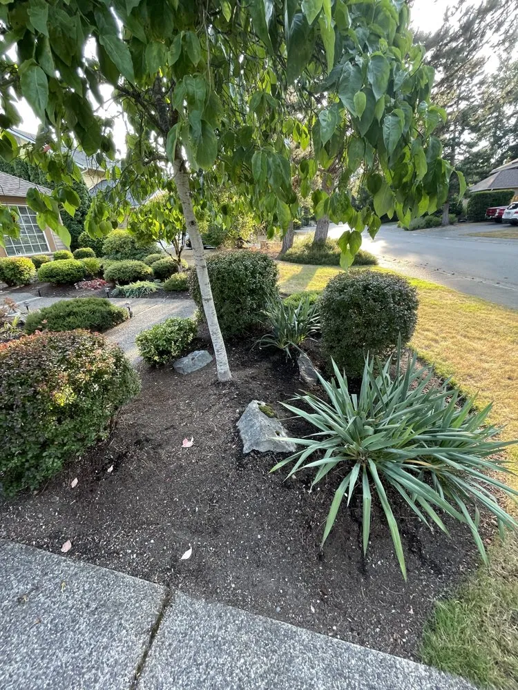 Custom residential landscaping in Renton, WA by Scrub Solutions