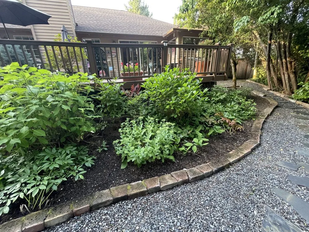 Top-rated landscaping services in Renton, WA - Scrub Solutions