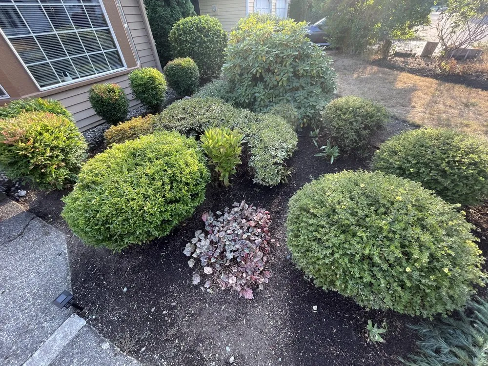 Custom garden landscaping in Renton, WA by Scrub Solutions