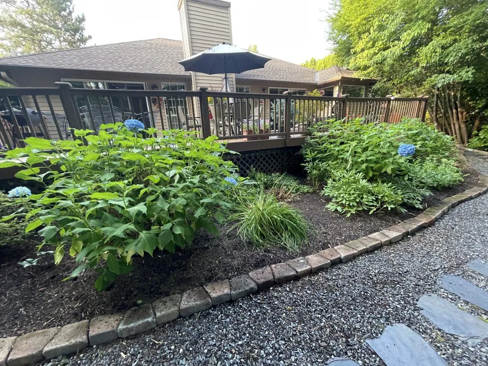Local lawn care service for beautiful yards in Renton, WA by Scrub Solutions