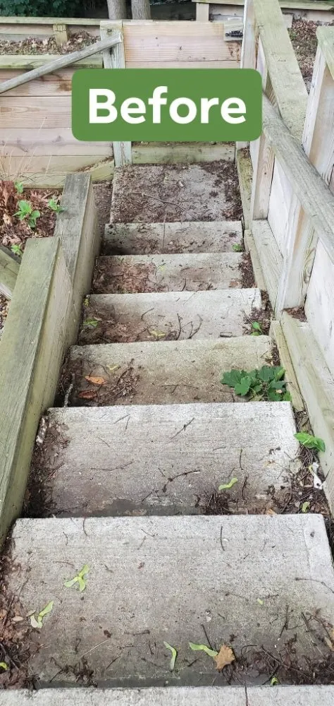 Top-rated residential landscaping for outdoor upgrades across Batavia, NY - Scrubs and Shrubs