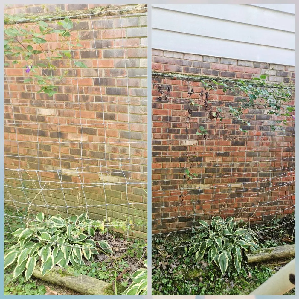 Expert lawn mowing service in Henderson, KY - Scruffy Scrubbers