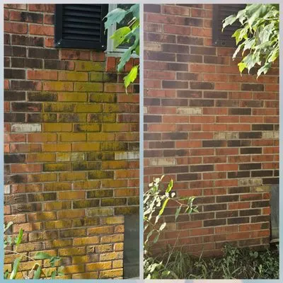 Scruffy Scrubbers Logo