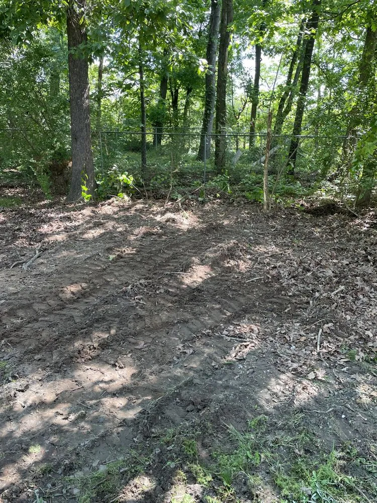 Reliable yard cleanup service in Greer, SC - Scruggs & Son Land Management