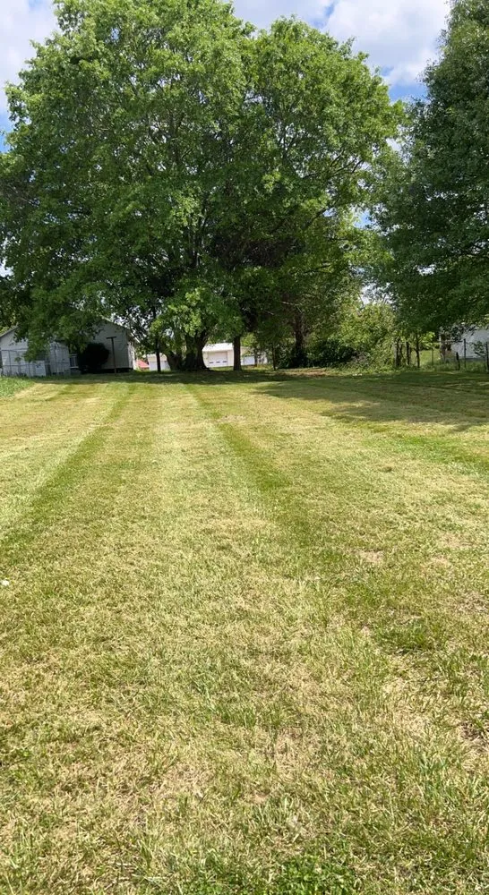 Reliable residential landscaping in Chesnee, SC by Scruggs Lawn and Landscape