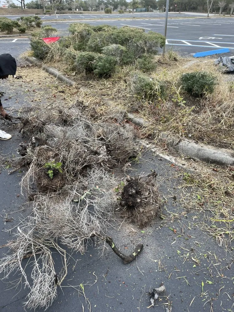 Affordable outdoor landscaping experts serving Sanford, FL - Sct Landscaping