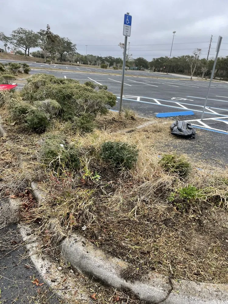 Local garden landscaping in Sanford, FL - Sct Landscaping