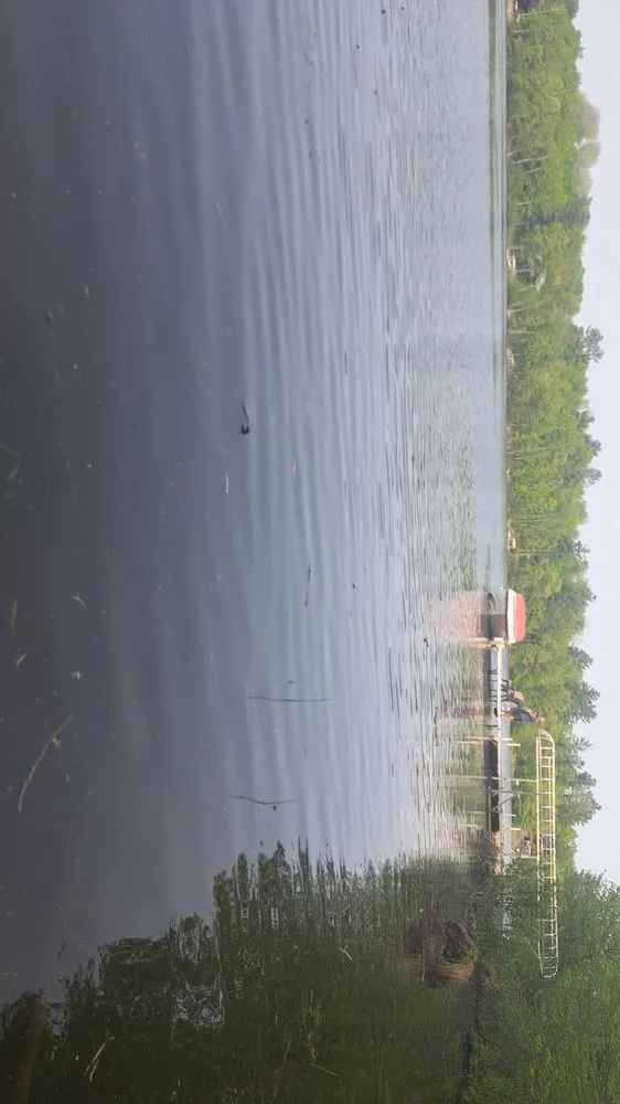 Affordable landscape installation experts serving Annandale, MN - Scuba Squad