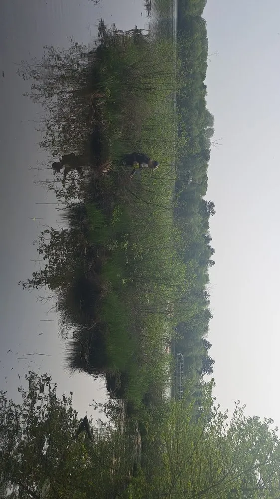 Expert outdoor landscaping in Annandale, MN - Scuba Squad