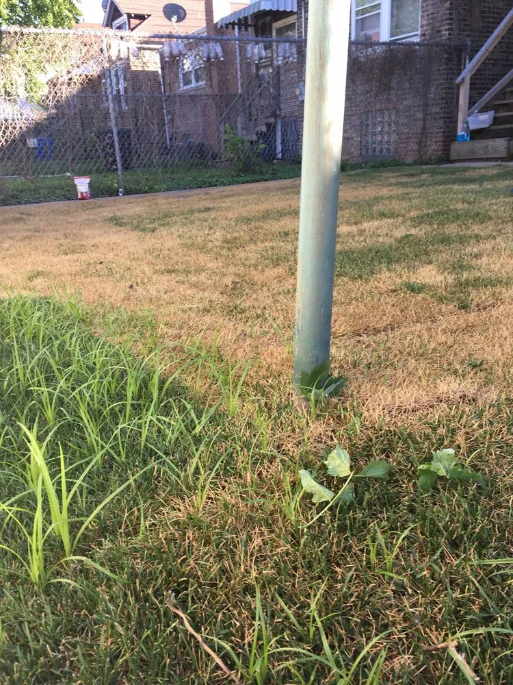 Custom lawn mowing service in Chicago, IL - Scully Maintenance