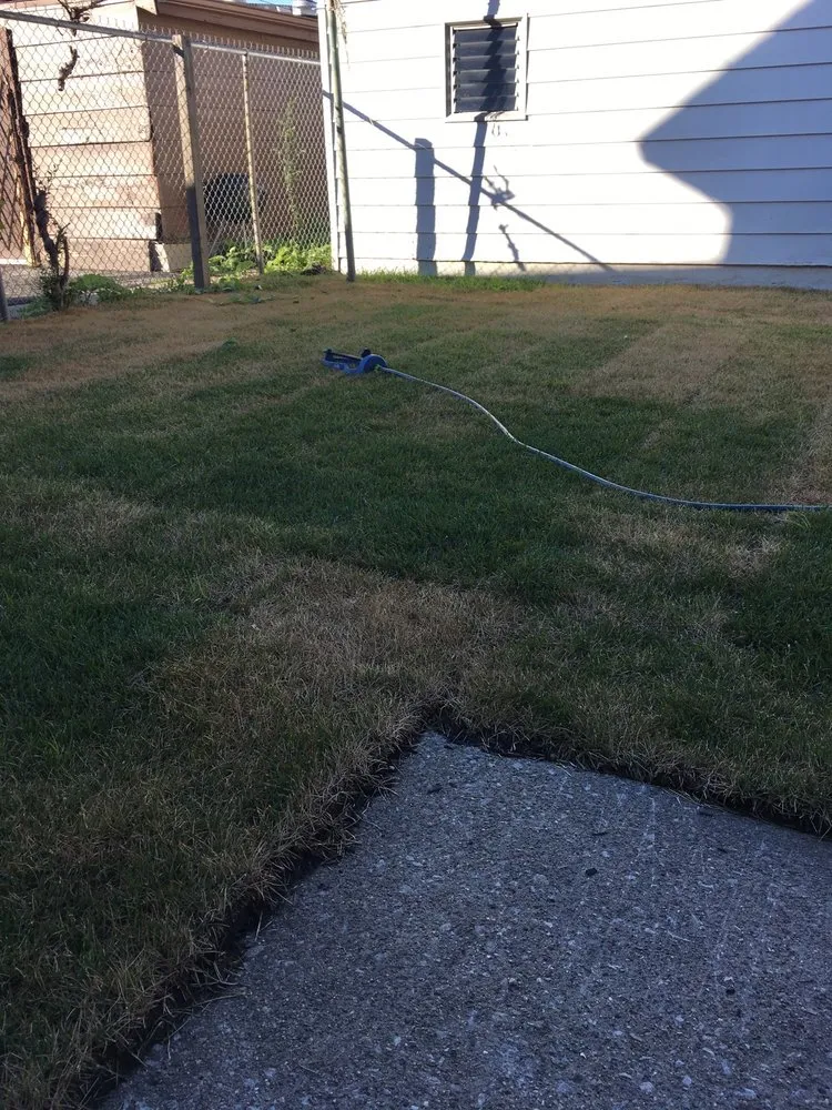 Custom outdoor landscaping in Chicago, IL - Scully Maintenance