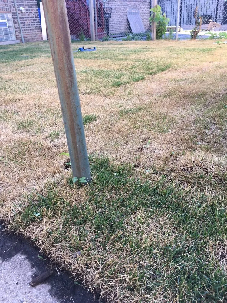 Affordable yard maintenance for beautiful yards in Chicago, IL by Scully Maintenance