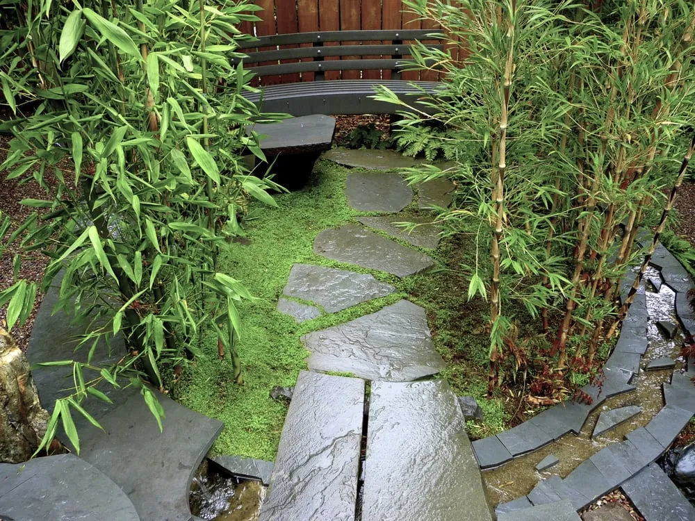 Trusted lawn mowing service near you in San Francisco, CA by Sculpt Gardens