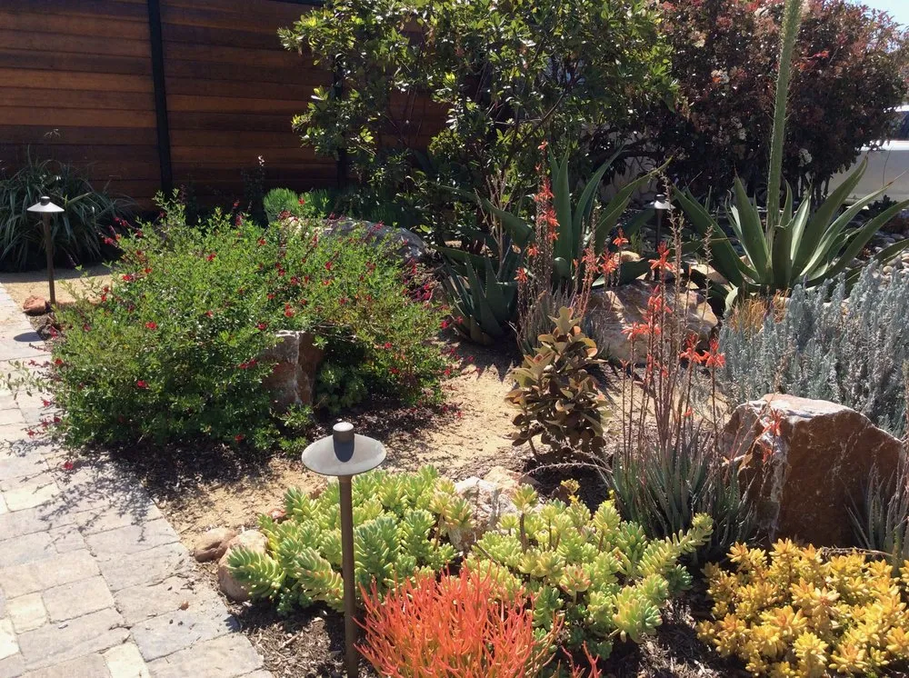 Reliable garden landscaping for year-round maintenance in Simi Valley, CA by Sculptured Gardens Alive