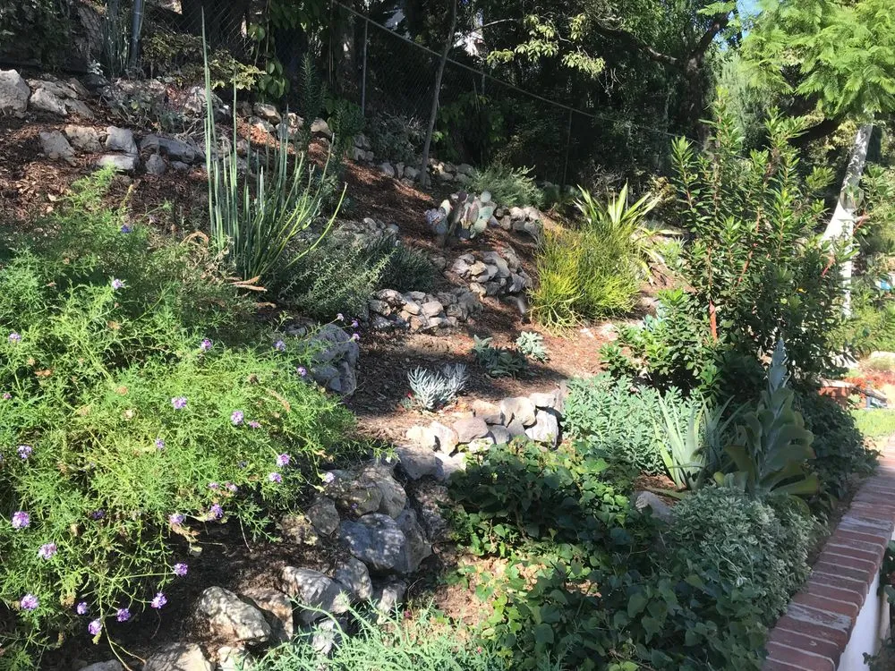 Professional landscape design experts serving Simi Valley, CA - Sculptured Gardens Alive