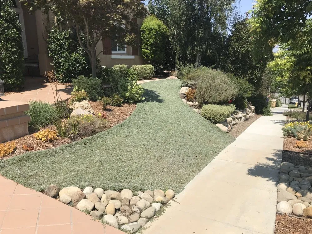 Trusted lawn mowing service experts serving Simi Valley, CA - Sculptured Gardens Alive