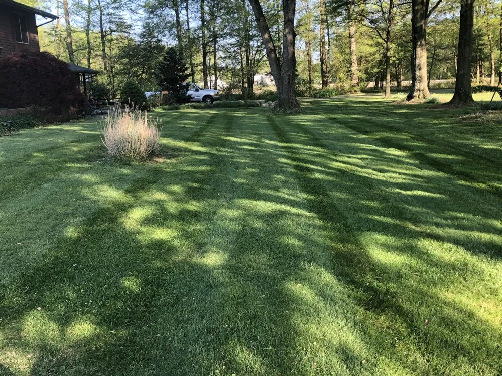 Expert landscape design for beautiful yards in Dover, DE by Scuse and Sons Lawncare & Landscaping