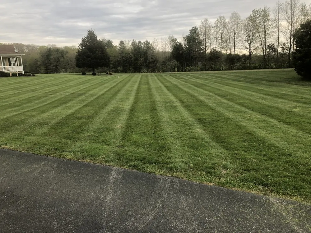 Expert yard cleanup service experts serving Dover, DE - Scuse and Sons Lawncare & Landscaping