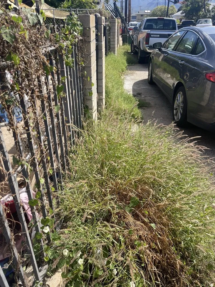 Custom yard cleanup service for beautiful yards in Mililani, HI by Scutwork