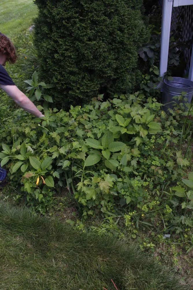 Local landscape installation for year-round maintenance across Hudson, NH - SCZ’s Landscaping And Yard Work
