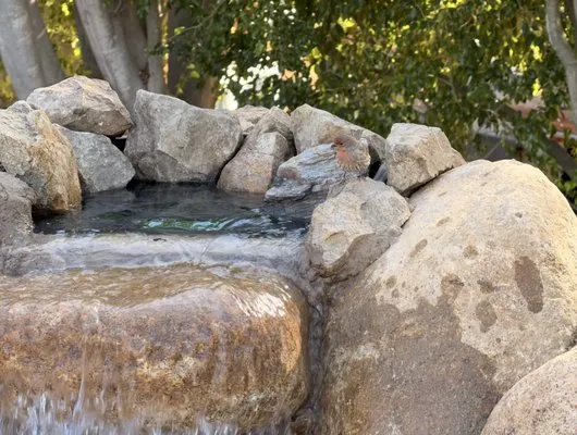 SD Creative Landscaping Logo