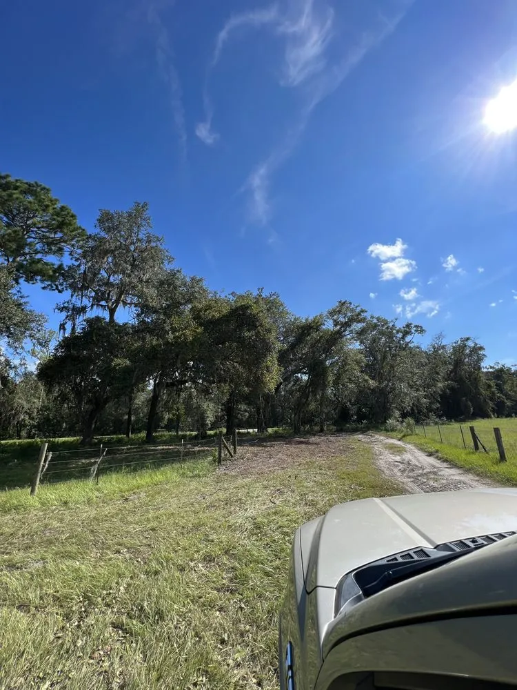 Expert yard maintenance experts serving Lake City, FL - S&D Custom Services