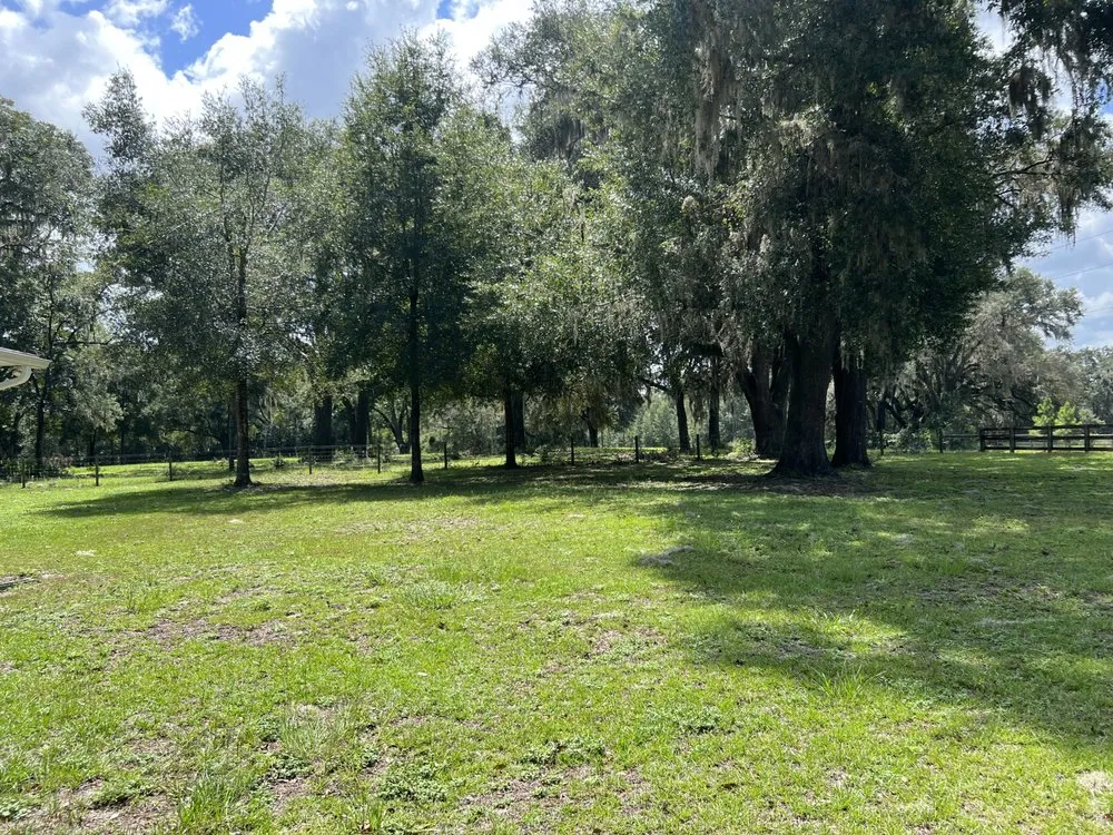 Reliable yard cleanup service near you in Lake City, FL by S&D Custom Services