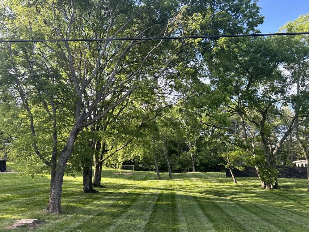 Affordable residential landscaping with custom design across Nashville, TN - S&D Landscape