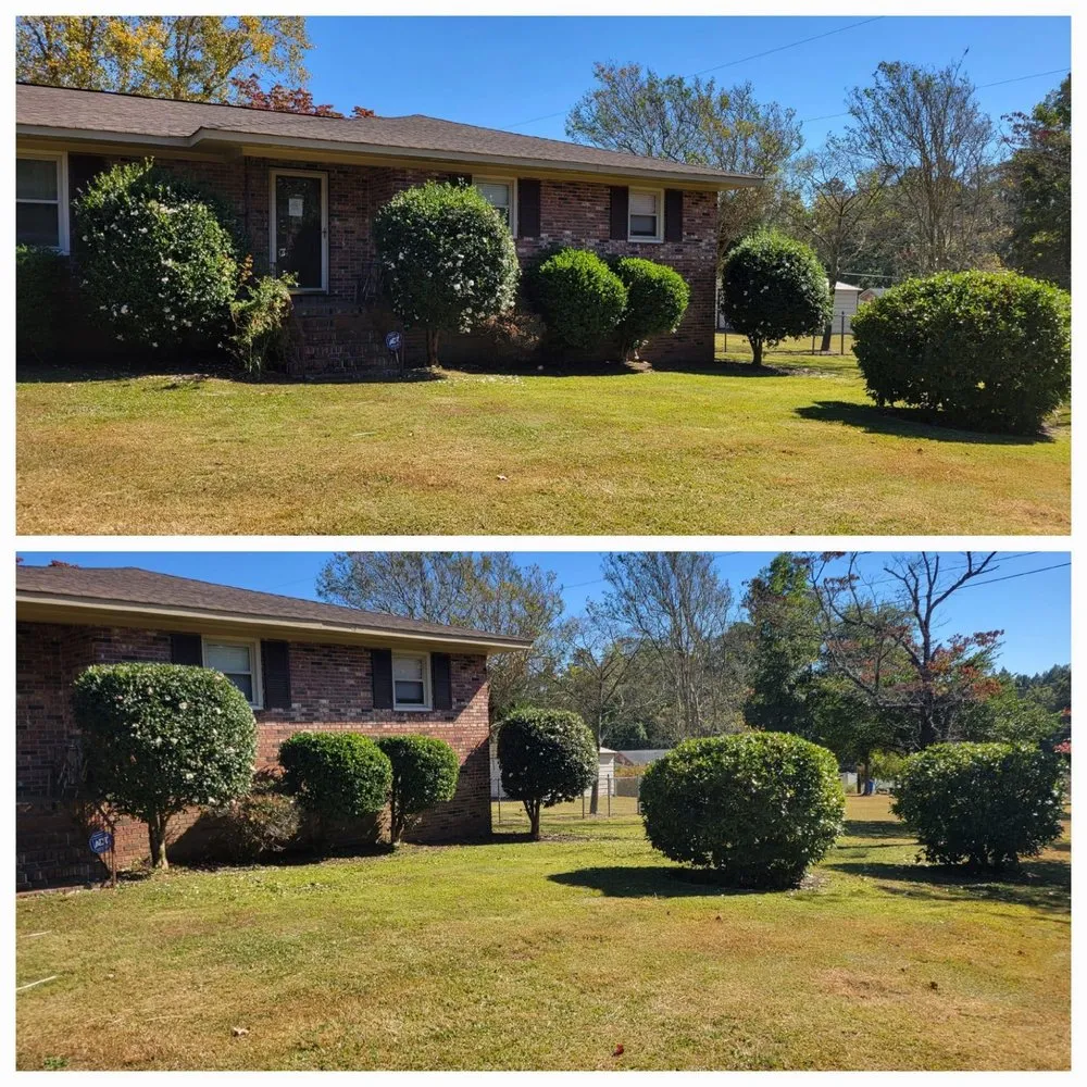 Expert yard cleanup service experts serving Gilbert, SC - S&D Lawn & Landscape