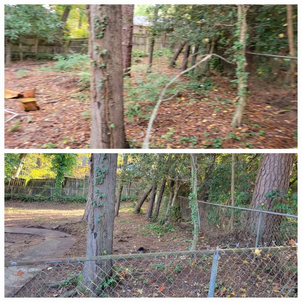 Expert lawn care service for residential properties across Gilbert, SC - S&D Lawn & Landscape